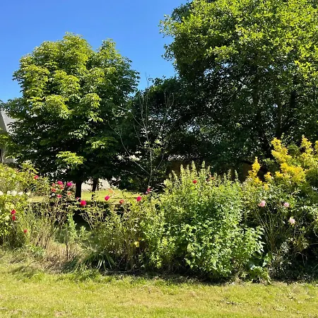 Les Prairies De - Meadows * Cottun