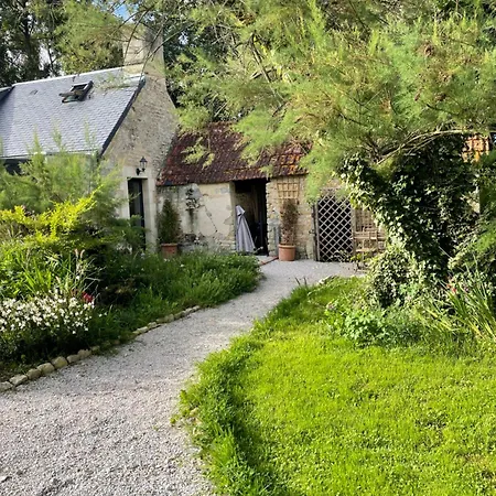 Les Prairies De - Meadows * Cottun