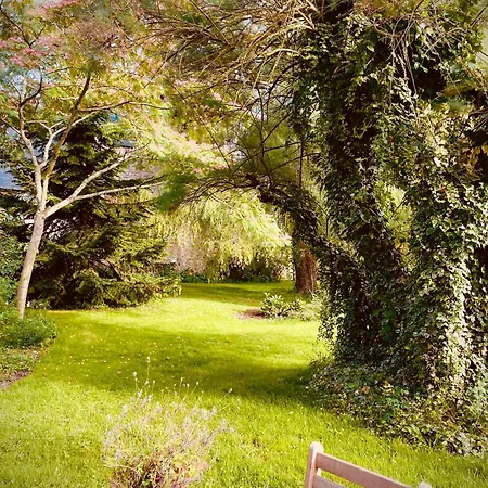 Vakantiehuis Les Prairies De - Meadows *