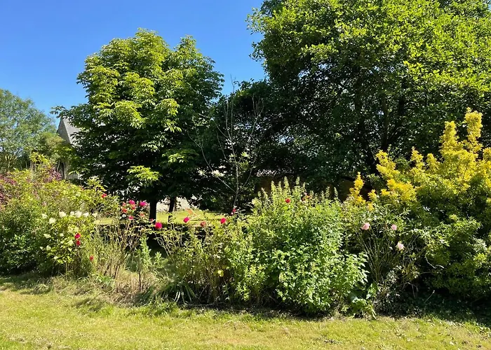 Les Prairies De - Meadows * Cottun