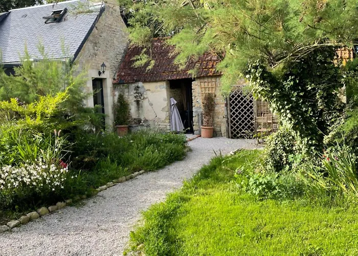 Les Prairies De - Meadows * Cottun
